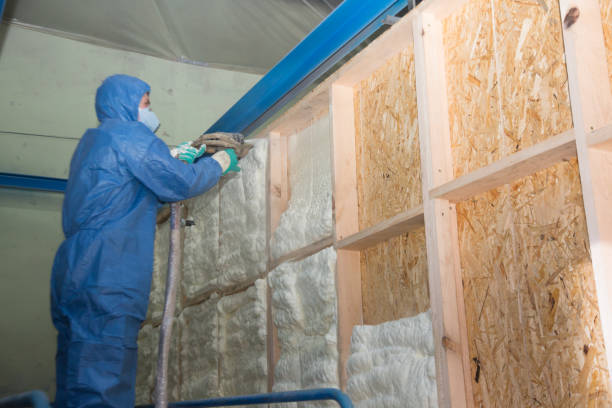 Garage Insulation Installation in Ville Platte, LA